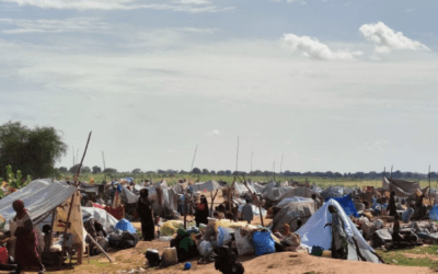 The Fallout in Chad from the Fighting in Darfur